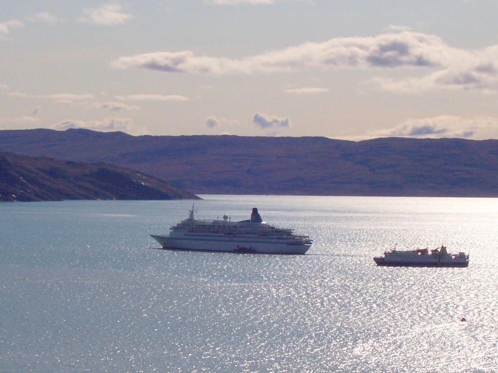 Albatros vor Kangerlussuaq